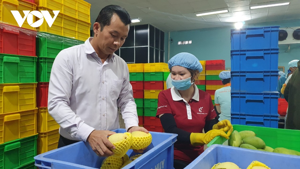 Xuất khẩu rau quả của Việt Nam sẽ lập kỷ lục mới? - Ảnh 3