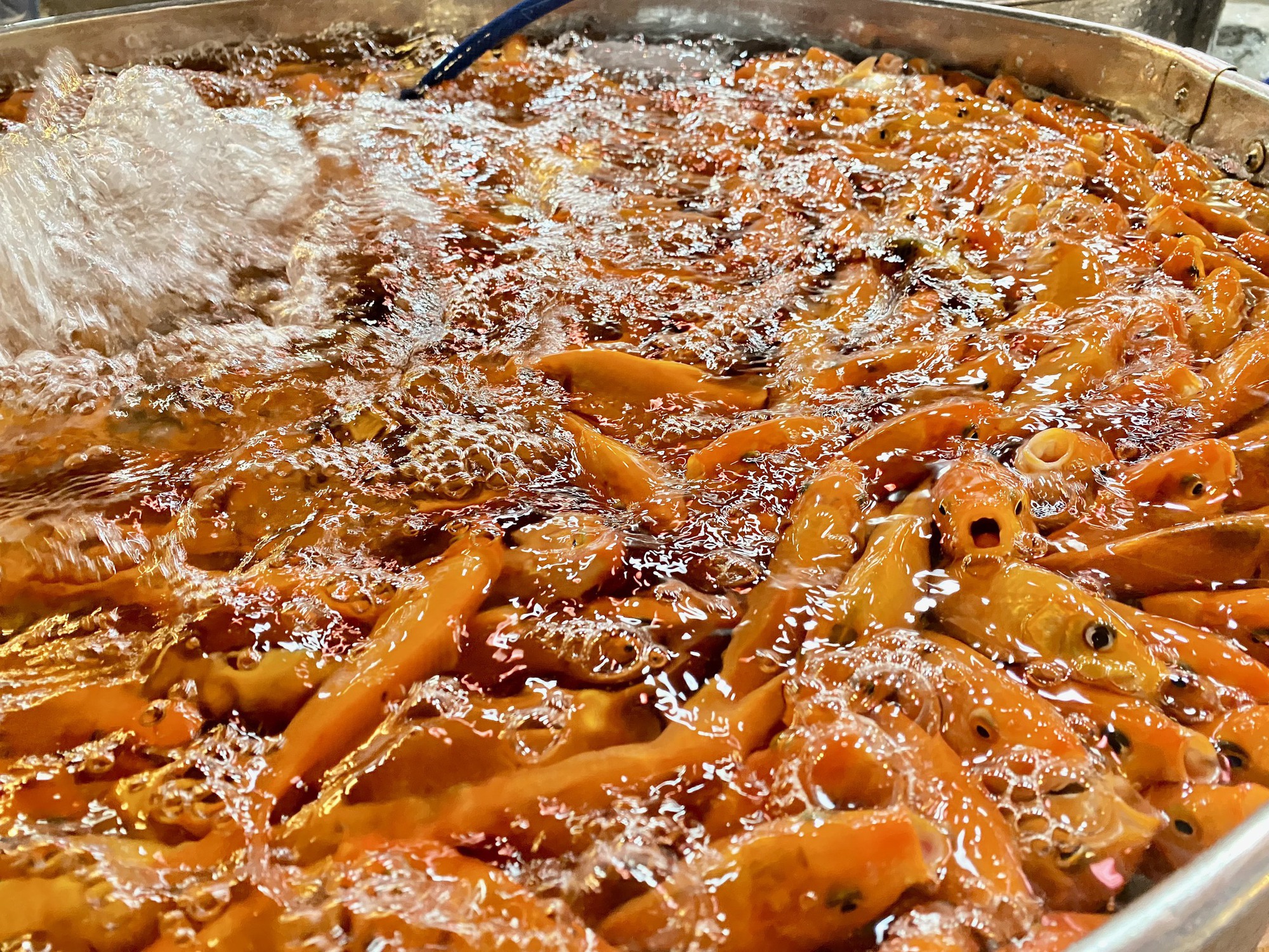 Chợ cá chép cúng ông Táo tại TP HCM đêm khuya nhộn nhịp - Ảnh 4