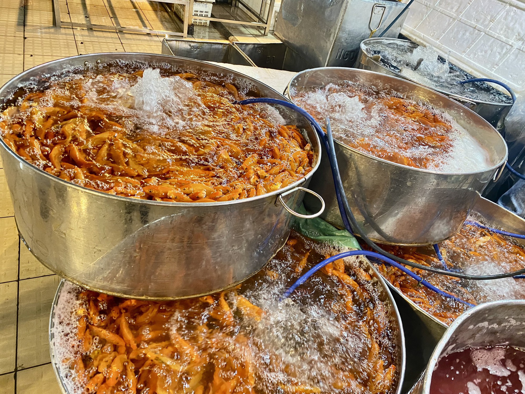 Chợ cá chép cúng ông Táo tại TP HCM đêm khuya nhộn nhịp - Ảnh 5