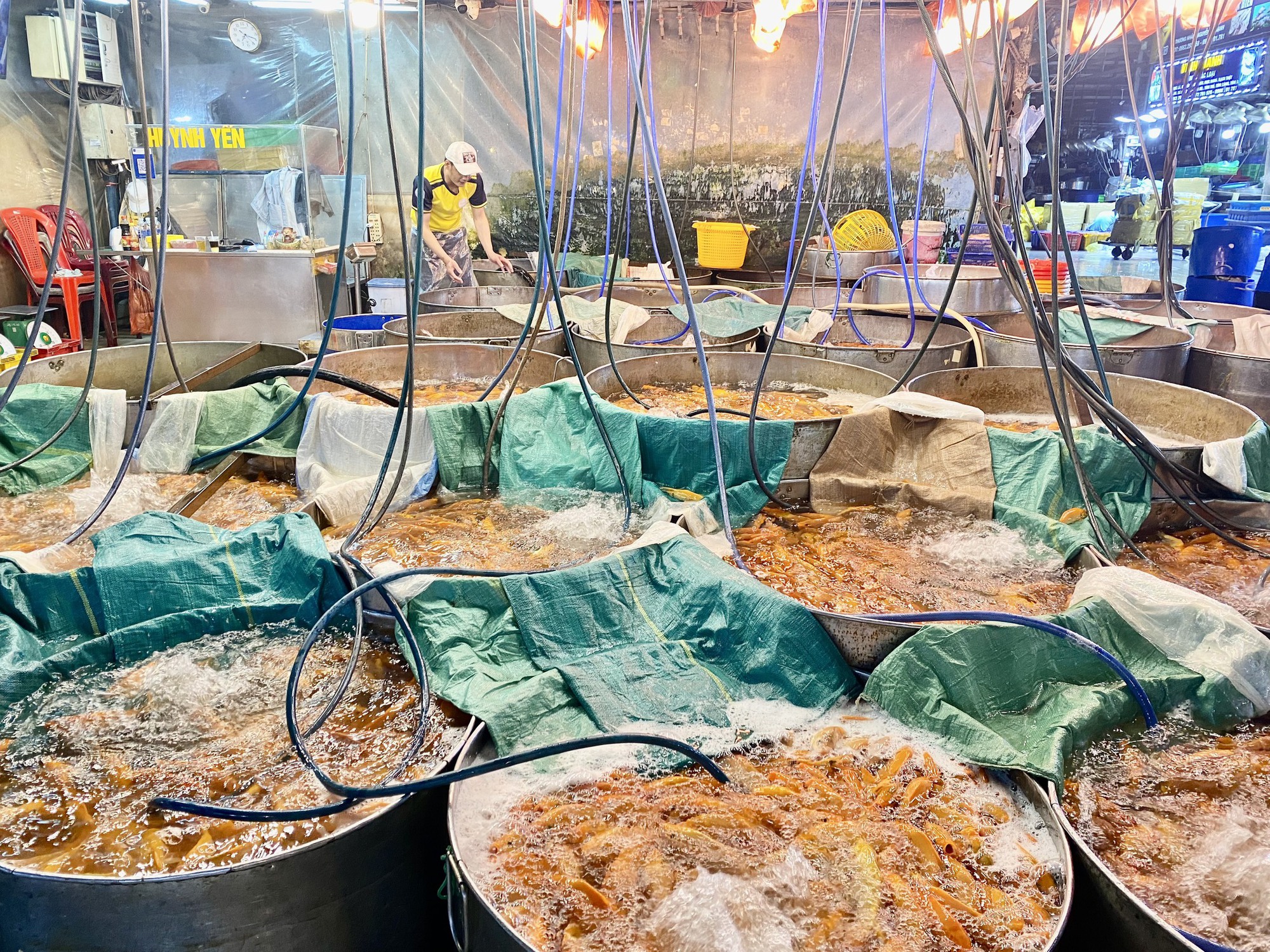 Chợ cá chép cúng ông Táo tại TP HCM đêm khuya nhộn nhịp - Ảnh 1