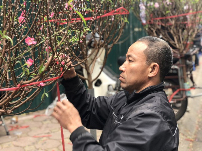 29 Tết: Tiểu thương ngủ gật, đào quất ế chỏng chơ - Ảnh 3