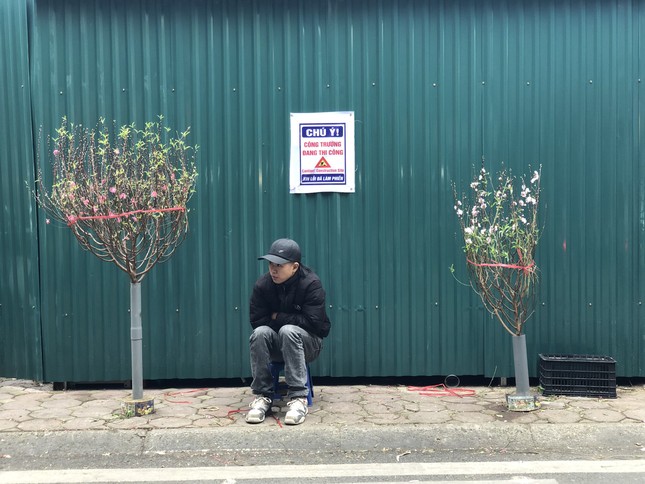 29 Tết: Tiểu thương ngủ gật, đào quất ế chỏng chơ - Ảnh 8