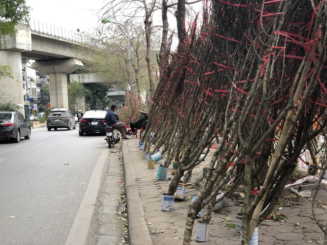 29 Tết: Tiểu thương ngủ gật, đào quất ế chỏng chơ - Ảnh 2