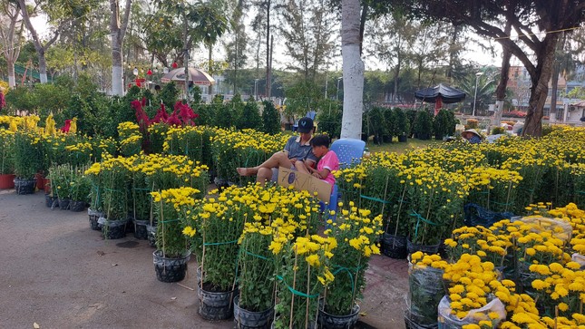 30 Tết, hoa, dưa hấu 'đại hạ giá' vẫn ế - Ảnh 2