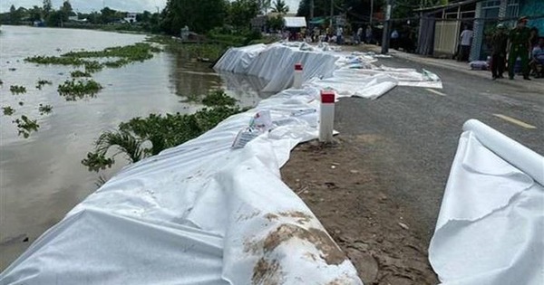 "Lộ" chiêu bài khiến doanh nghiệp năng lực hạn chế liên tiếp được chỉ định thầu