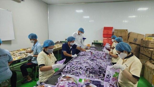 Doanh nghiệp lao đao với giá cà phê trong mơ - Ảnh 1