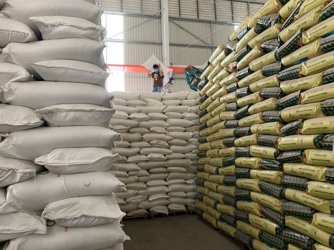 Xuất khẩu gạo năm 2024 rất sáng sủa - Ảnh 1