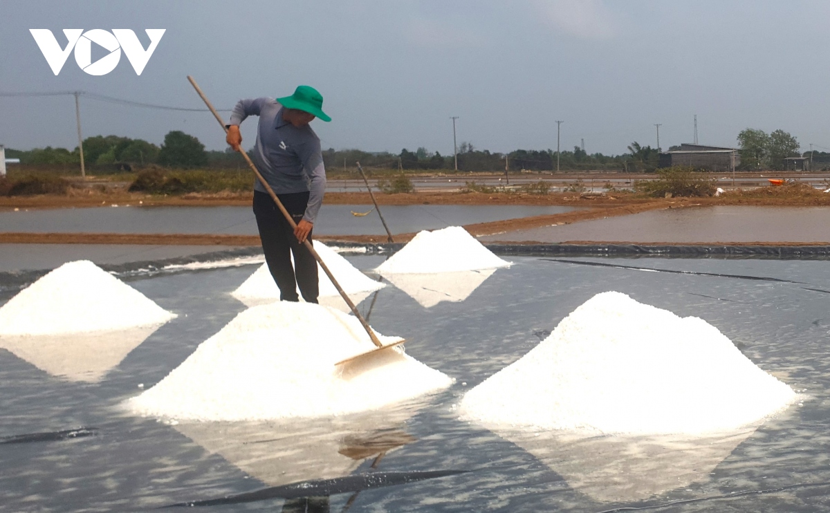 Diêm dân được mùa nhưng giá muối giảm sâu - Ảnh 1