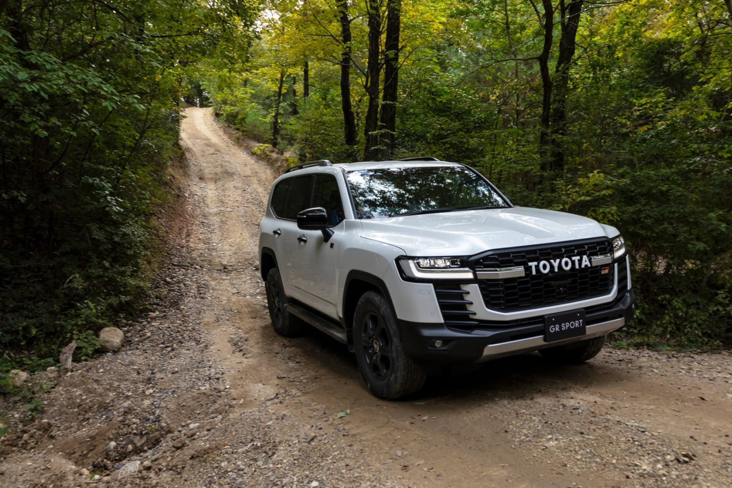 Trộm xe ở Mỹ thích Hyundai/Kia, trộm Anh thích Range Rover còn ở quốc gia này, ‘xe chủ tịch' là con mồi số một - Ảnh 1