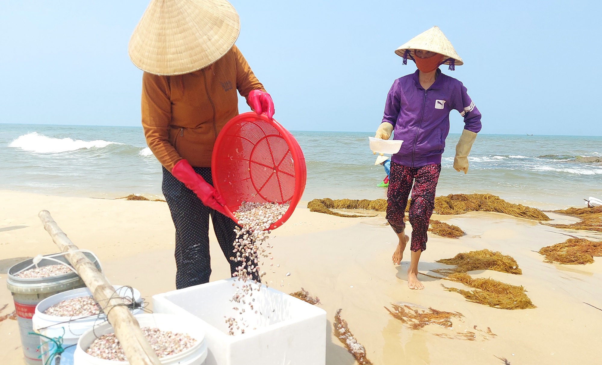 Cào ốc chép kiếm tiền triệu mỗi ngày ở Mỹ Thủy - Ảnh 5