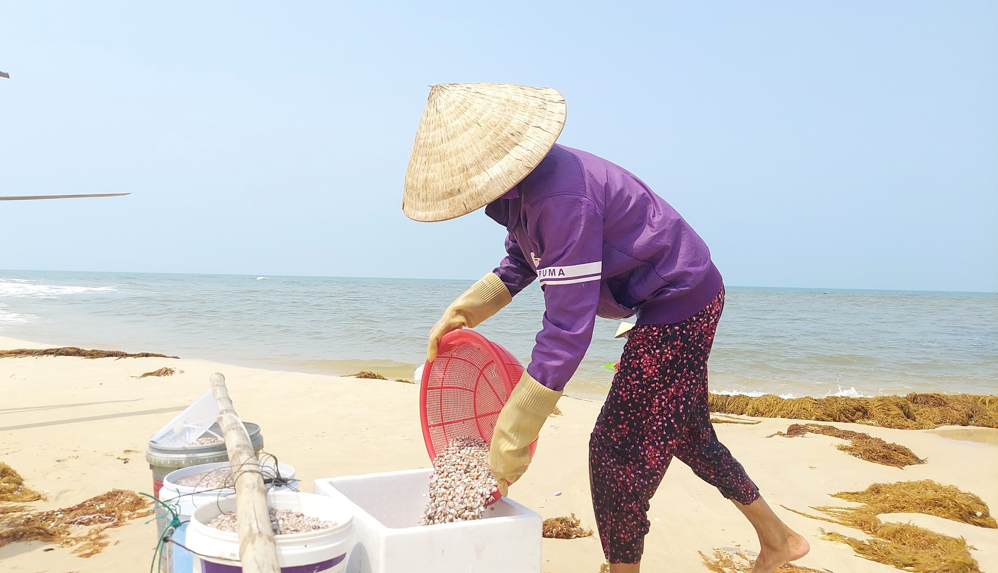 Cào ốc chép kiếm tiền triệu mỗi ngày ở Mỹ Thủy - Ảnh 4