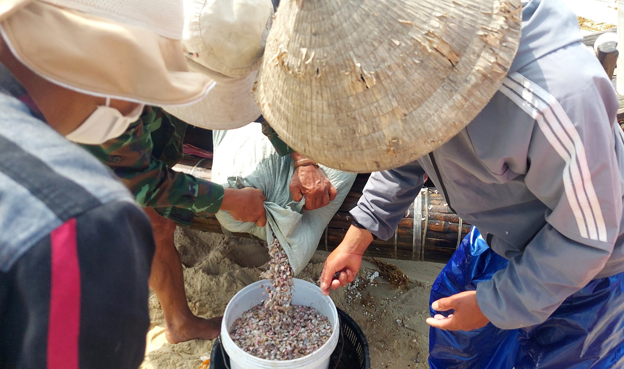 Cào ốc chép kiếm tiền triệu mỗi ngày ở Mỹ Thủy - Ảnh 3