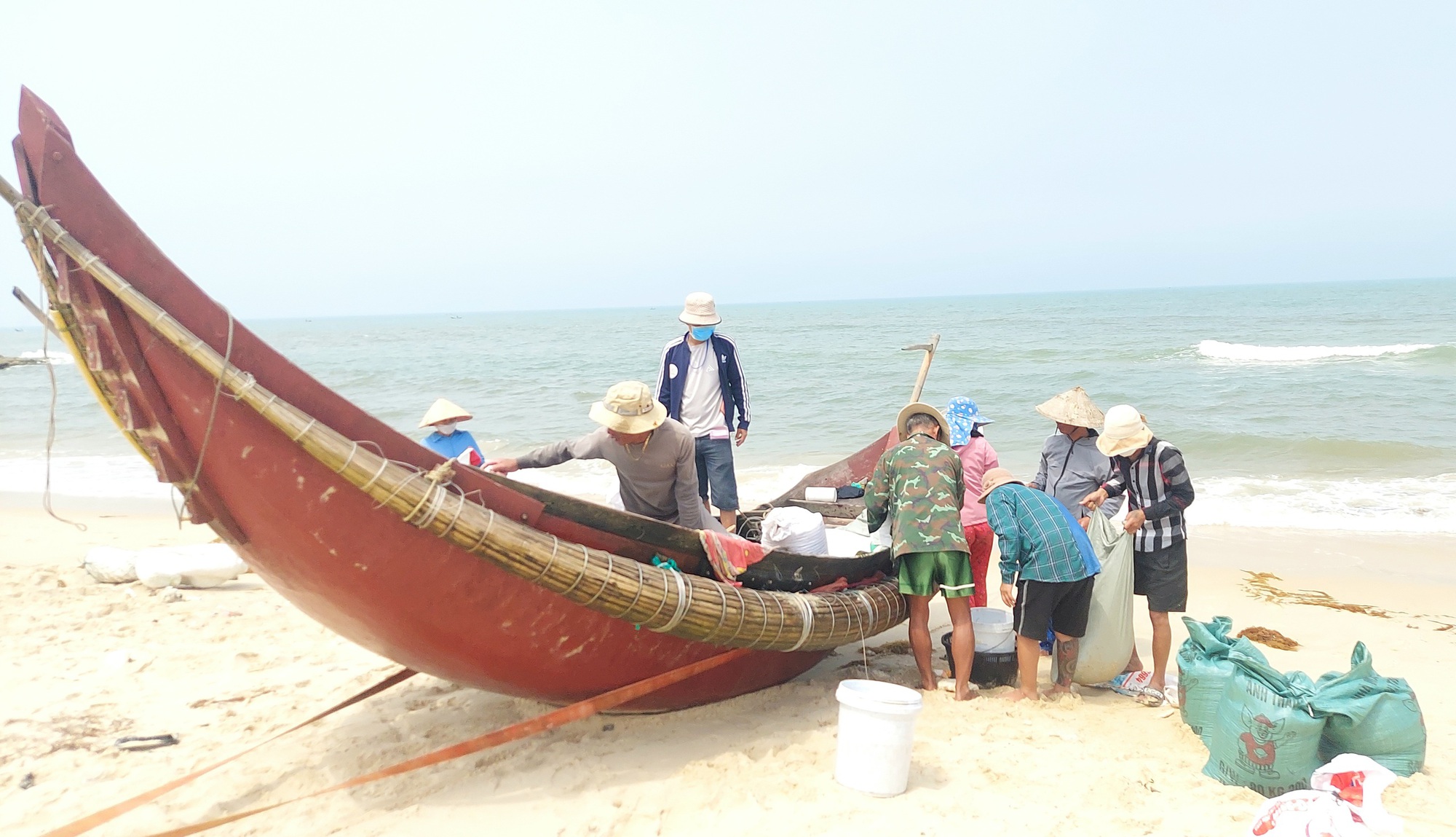 Cào ốc chép kiếm tiền triệu mỗi ngày ở Mỹ Thủy - Ảnh 1