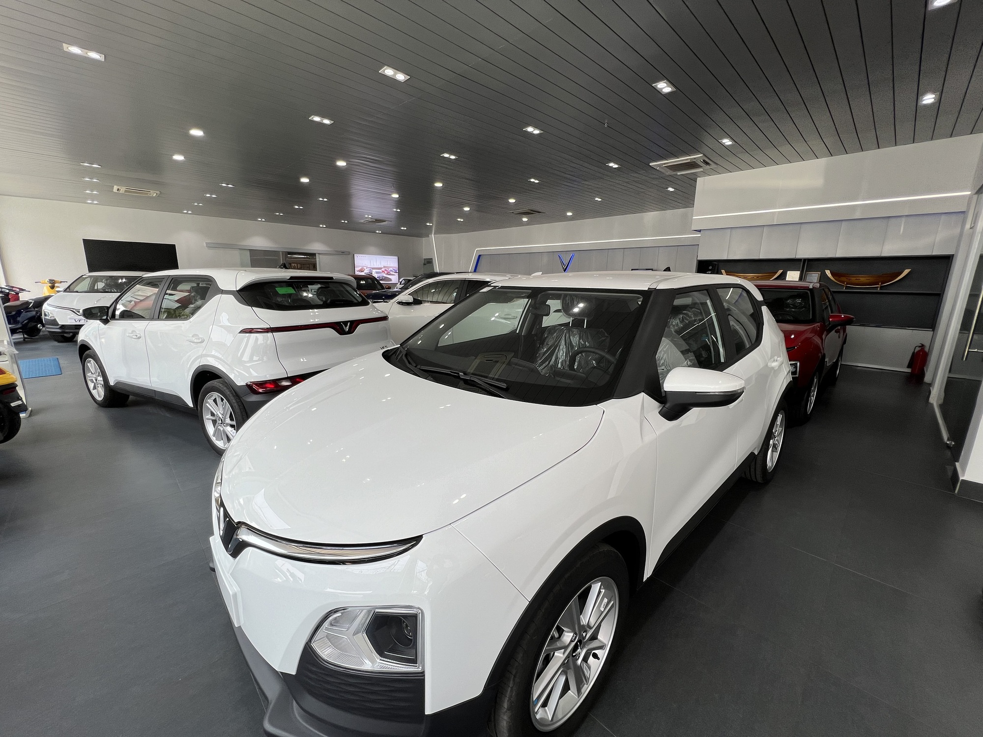 Các hãng bảo hiểm đang phân biệt đối xử với chủ xe điện? - Ảnh 1