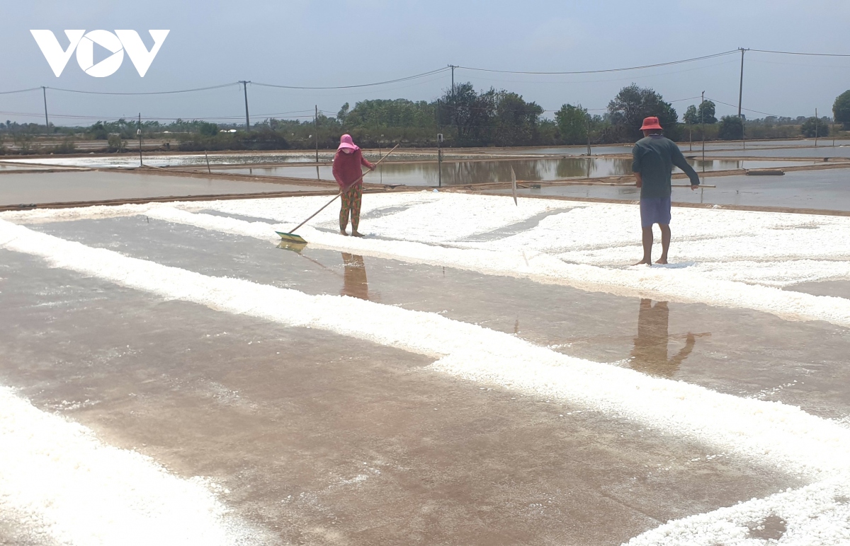 Diêm dân được mùa nhưng giá muối giảm sâu - Ảnh 2