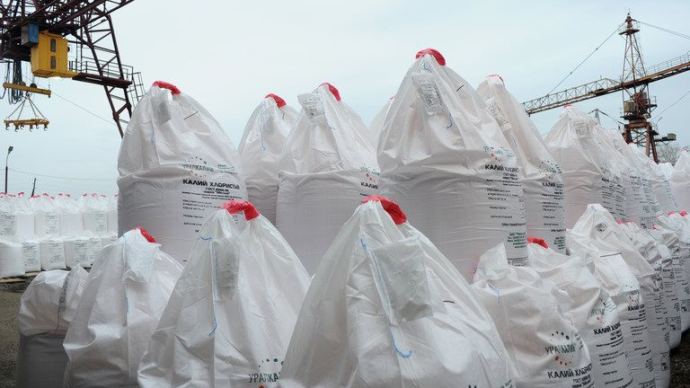 Ủng hộ trừng phạt nhưng vẫn lọt top 3 nhà nhập khẩu "báu vật" nông nghiệp của Nga, Mỹ bị nghi ngờ "nói một đằng làm một nẻo" - Ảnh 1