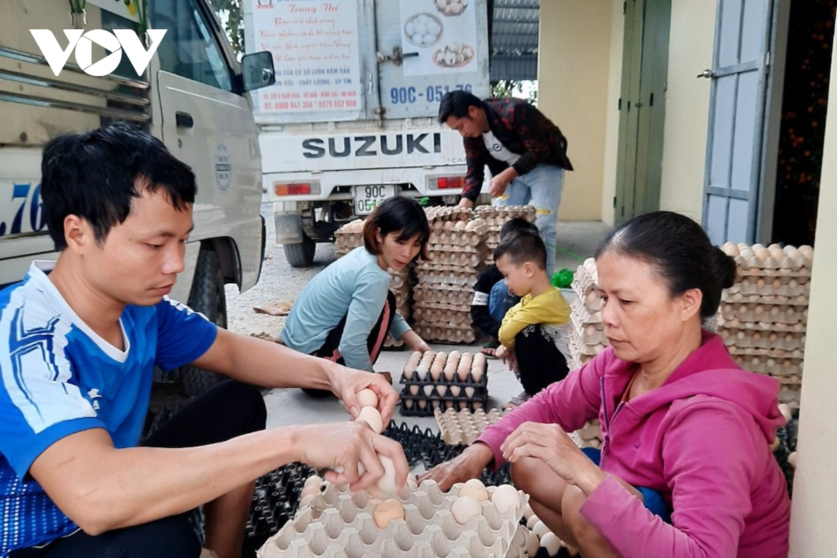 Người chăn nuôi mang trứng gà "siêu rẻ" bán trên vỉa hè Hà Nội - Ảnh 3