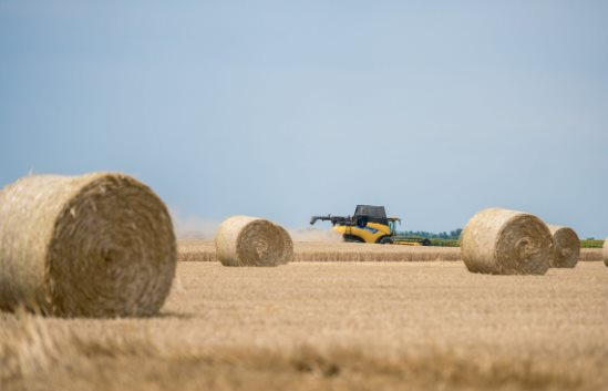Nga ưu ái xuất sang Việt Nam báu vật đang khiến châu Âu ‘đau đầu’: Giá rẻ áp đảo các đối thủ, nước ta chi gần 300 triệu USD mua hàng - Ảnh 1