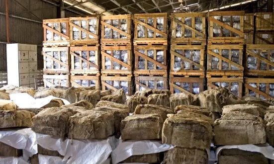 Mặt hàng này của Việt Nam bất ngờ được Ấn Độ săn lùng với giá đắt đỏ: Tăng trưởng gấp 3 lần trong tháng đầu năm, Trung Quốc luôn tìm đến Việt Nam để mua hàng - Ảnh 1