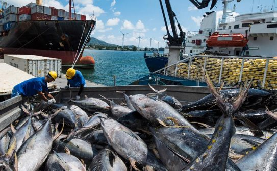 80 quốc gia cùng ‘chốt đơn’ một mặt hàng của Việt Nam: Thu hơn 100 triệu USD trong 2 tháng, là bảo bối tỷ đô mới nổi của nước ta - Ảnh 1