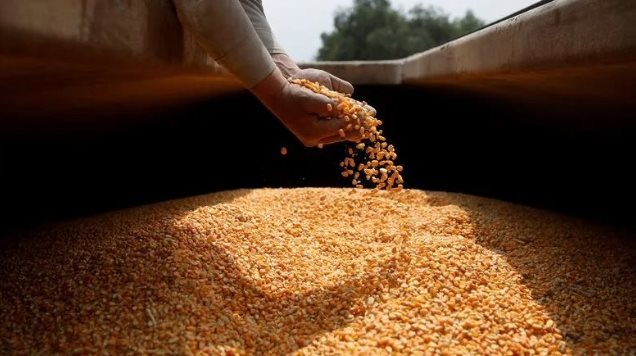 Hàng chục nghìn tấn báu vật giá rẻ từ Lào đổ bộ Việt Nam 2 tháng đầu năm, sản lượng nước ta gấp 8 lần so với láng giềng - Ảnh 1