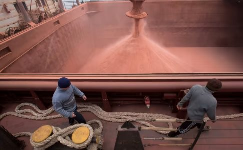 Không phải dầu thô, một mặt hàng quan trọng từ Nga tăng mạnh xuất khẩu về Việt Nam: Tăng 3.600% trong 2 tháng, phương Tây phải miễn trừng phạt vì quá phụ thuộc - Ảnh 1