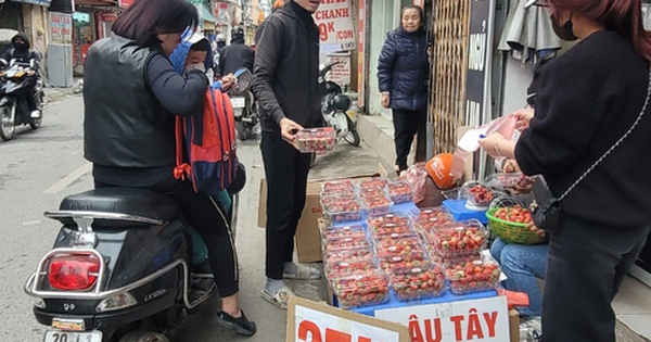 Dâu tây xuống phố, nông dân thu về trăm triệu đồng mỗi ha