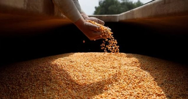 Hàng chục nghìn tấn báu vật giá rẻ từ Lào đổ bộ Việt Nam 2 tháng đầu năm, sản lượng nước ta gấp 8 lần so với láng giềng