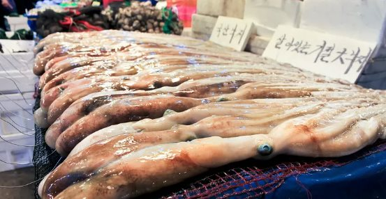 Một mặt hàng của Việt Nam bán 'đắt như tôm tươi' tại Hàn Quốc: Thu về 62 triệu USD chỉ trong 1 tháng, Trung Quốc, Nhật Bản cũng mạnh tay săn lùng - Ảnh 1