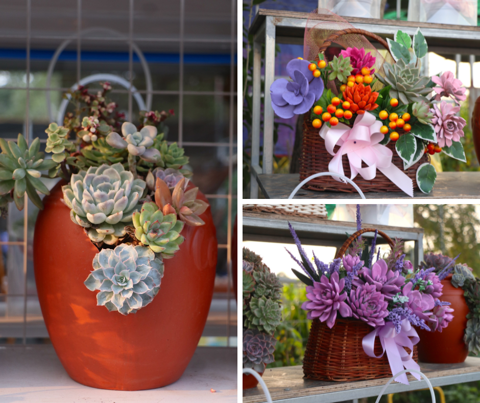 Sen đá lạ mắt hút khách dịp Quốc tế Phụ nữ 8/3 - Ảnh 2