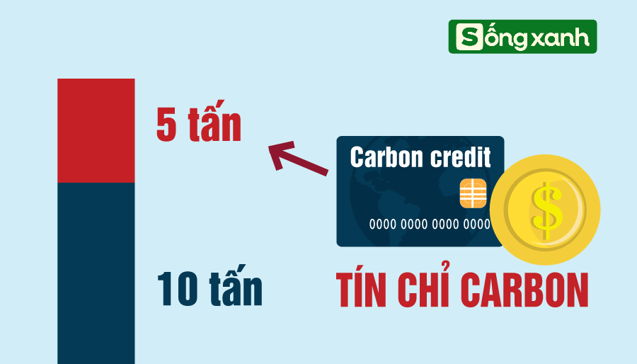 Sở hữu rừng tre dân làng đột nhiên có hơn 1.000 tỷ đồng mỗi năm: Bí quyết nằm ở cách làm đặc biệt - Ảnh 3