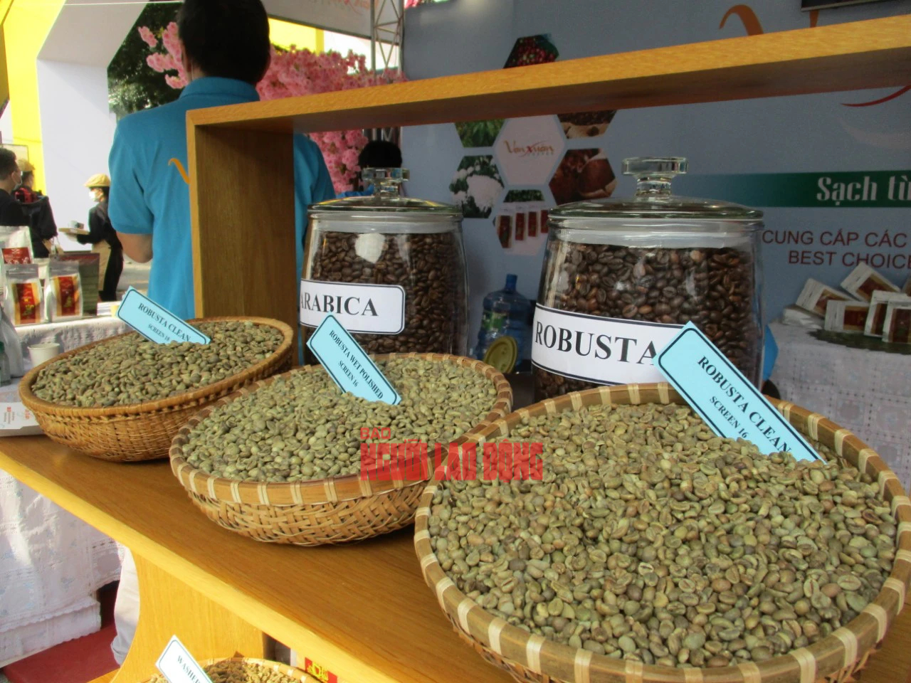 Giá cà phê trong nước vẫn đang thiết lập kỷ lục mới - Ảnh 1