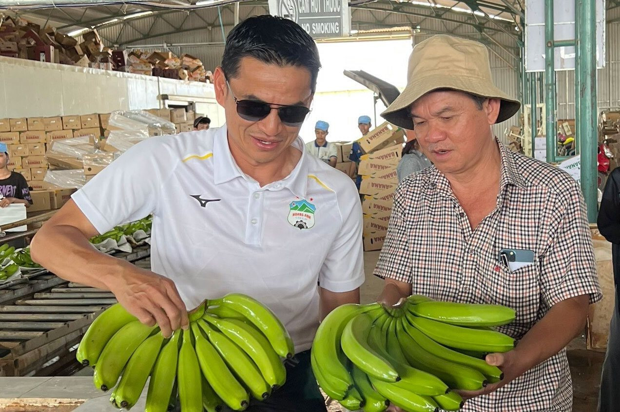 Việt Nam sở hữu loại 'quả hạnh phúc' khiến người Trung Quốc say đắm: bỏ túi hơn 300 triệu USD, bầu Đức bán 74 nghìn tấn chỉ trong 2 tháng - Ảnh 1