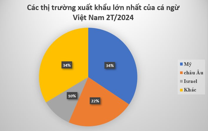 80 quốc gia cùng ‘chốt đơn’ một mặt hàng của Việt Nam: Thu hơn 100 triệu USD trong 2 tháng, là bảo bối tỷ đô mới nổi của nước ta - Ảnh 2