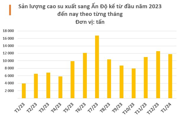 Mặt hàng này của Việt Nam bất ngờ được Ấn Độ săn lùng với giá đắt đỏ: Tăng trưởng gấp 3 lần trong tháng đầu năm, Trung Quốc luôn tìm đến Việt Nam để mua hàng - Ảnh 2