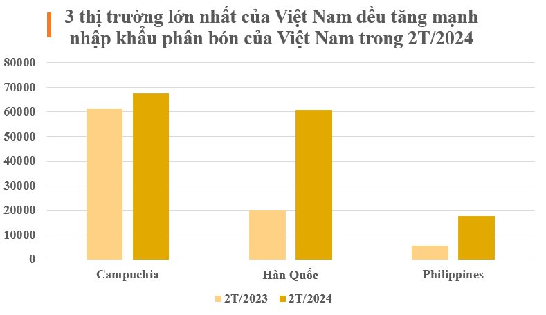 Trung Quốc cấm xuất khẩu, một mặt hàng của Việt Nam lên ngôi vương tại châu Á: Hàn Quốc tăng mua hơn 200%, thu gần 150 triệu USD trong 2 tháng - Ảnh 2