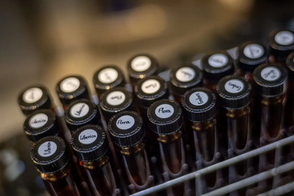 Phóng viên báo New York Times gọi Việt Nam là "gã khổng lồ" cà phê ở Đông Nam Á, quyết tâm rong ruổi khắp TP.HCM tìm ra 7 quán có hương vị tuyệt vời nhất - Ảnh 6