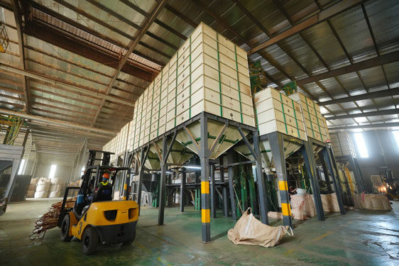 Nghịch lý xuất khẩu cà phê, hồ tiêu - Ảnh 1