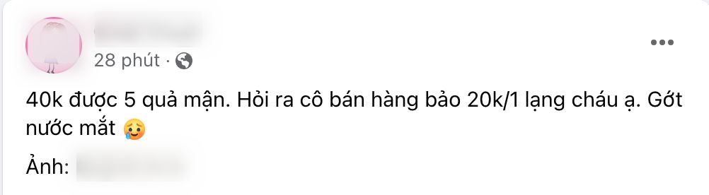 40k chỉ mua được 5 quả mận: Người ngậm ngùi "chịu trận" vì mận đầu mùa, người than thở vì giá trên trời - Ảnh 1