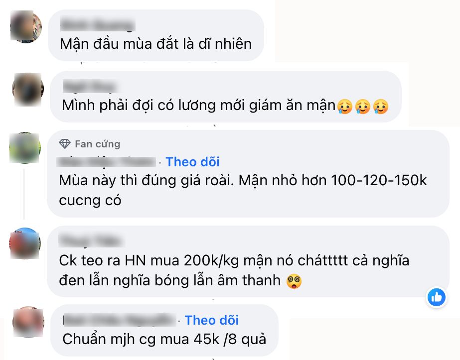 40k chỉ mua được 5 quả mận: Người ngậm ngùi "chịu trận" vì mận đầu mùa, người than thở vì giá trên trời - Ảnh 3