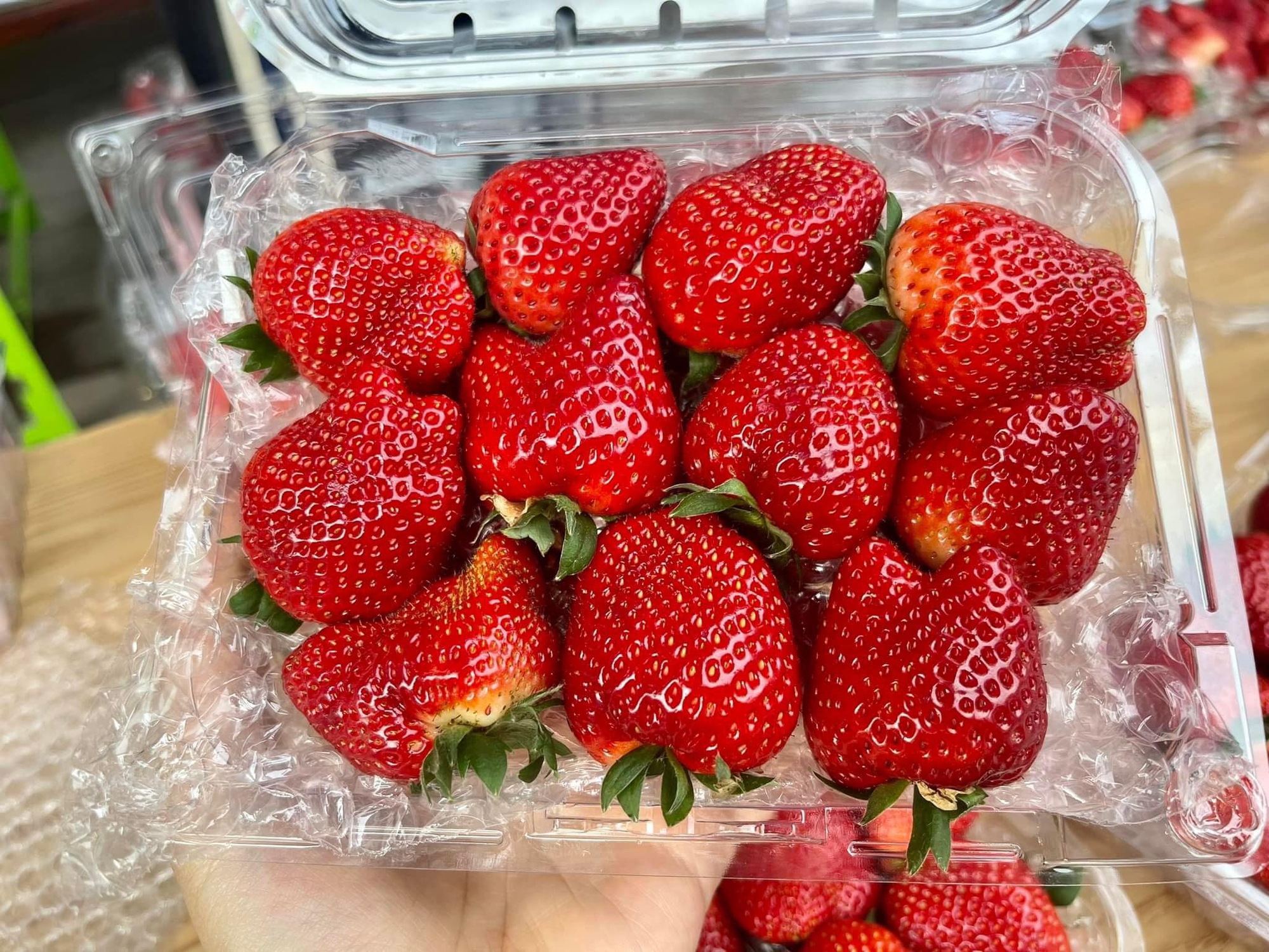 Dâu tây xuống phố, nông dân thu về trăm triệu đồng mỗi ha - Ảnh 1