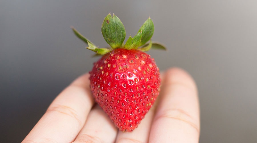 Loại bánh mang tên "Đại Phúc" đang được săn lùng vì chỉ có duy nhất vào mùa xuân: Ở đâu bán? - Ảnh 3