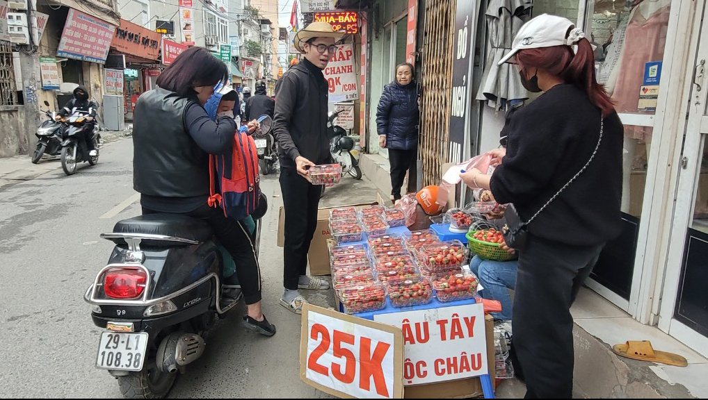 Dâu tây xuống phố, nông dân thu về trăm triệu đồng mỗi ha - Ảnh 2