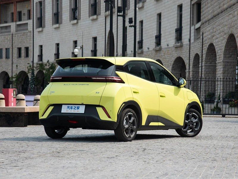 Xe điện rẻ nhất của BYD giờ đây bán với giá dưới 250 triệu - phương Tây 'suy sụp' - Ảnh 2