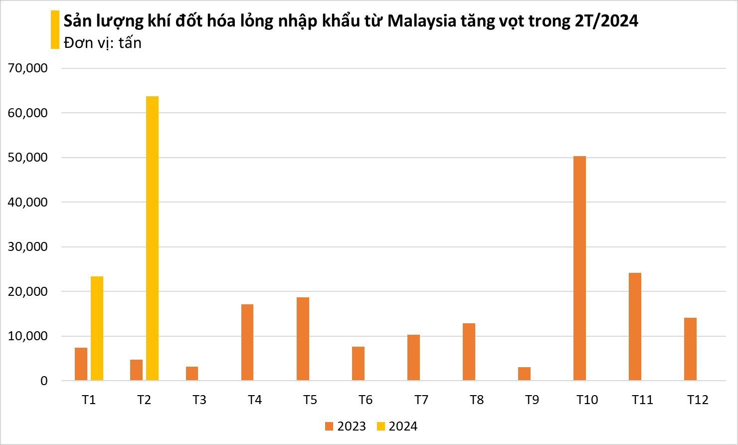 Giá cực rẻ, một mặt hàng từ Malaysia đang ồ ạt tràn vào Việt Nam: nhập khẩu tăng đột biến hơn 1.200%, Trung Đông thu hàng trăm triệu USD từ Việt Nam - Ảnh 2