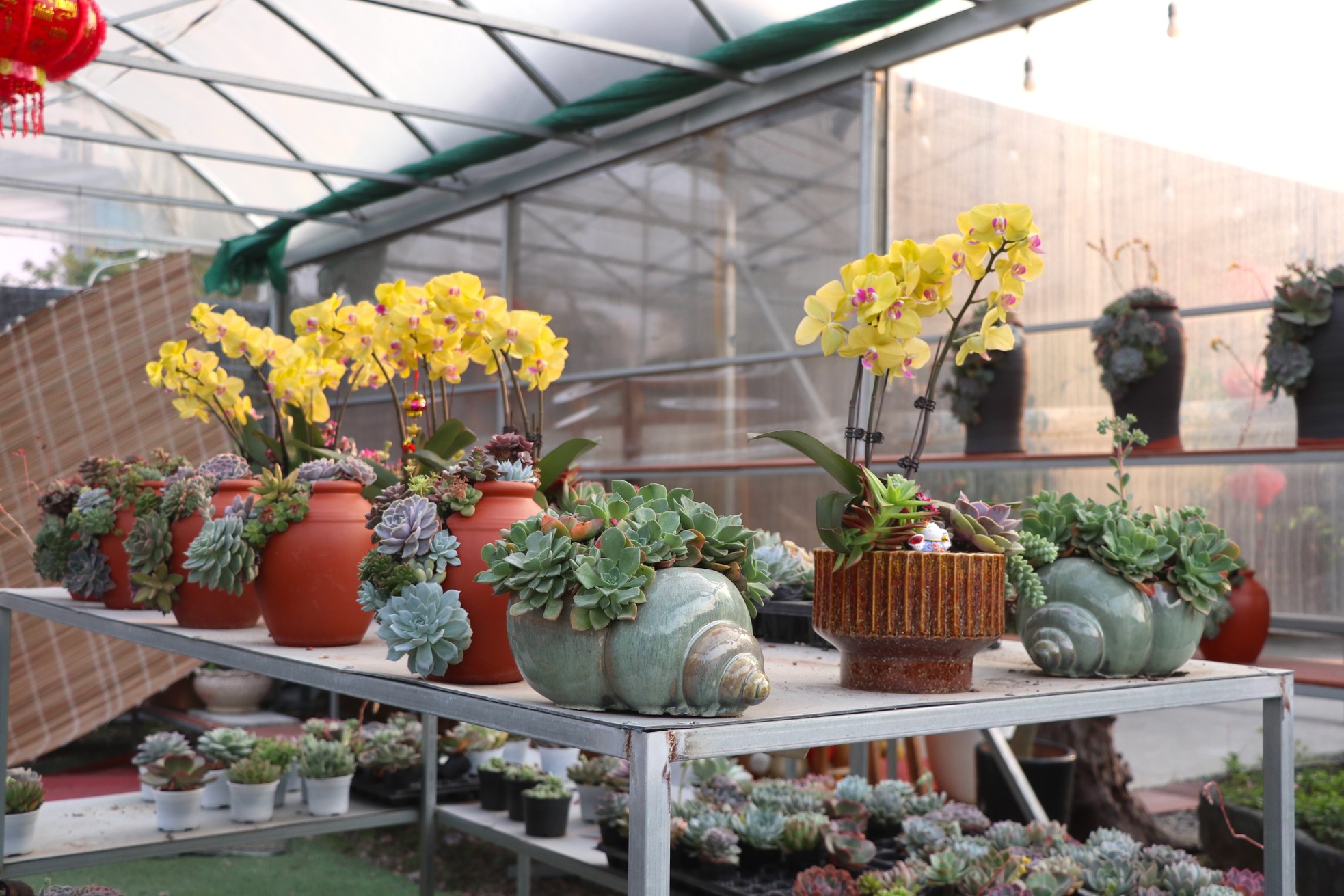 Sen đá lạ mắt hút khách dịp Quốc tế Phụ nữ 8/3 - Ảnh 7