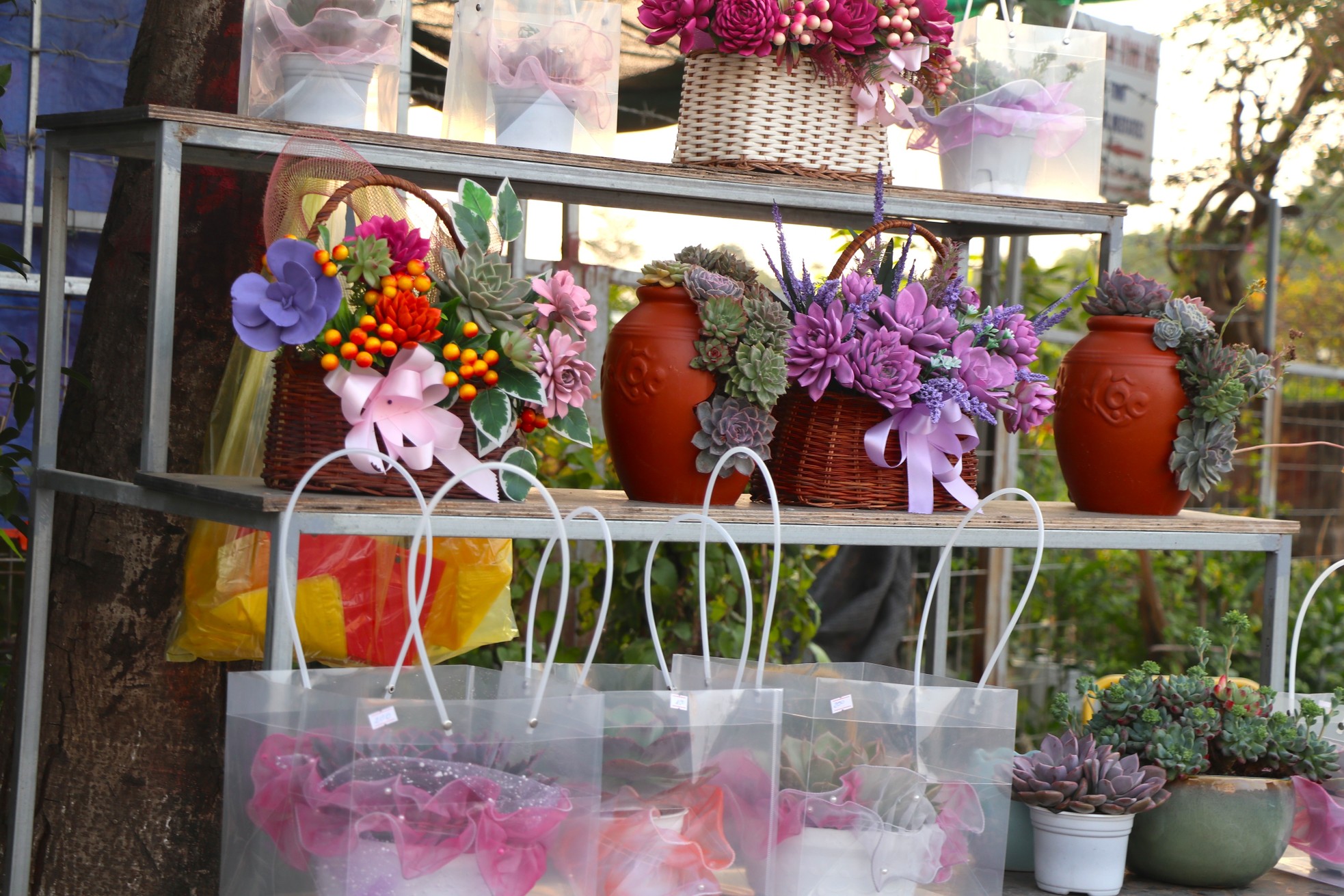 Sen đá lạ mắt hút khách dịp Quốc tế Phụ nữ 8/3 - Ảnh 1