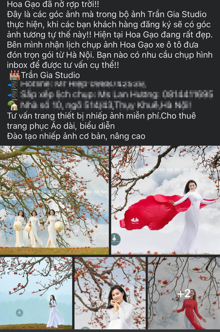 Bỏ tiền triệu săn tour chụp ảnh hoa gạo - Ảnh 1