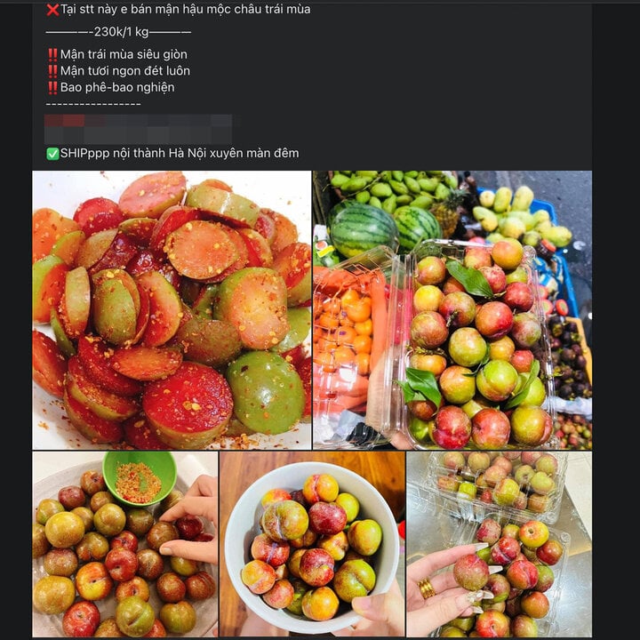 Đắt hơn thịt, mận đầu mùa giá gần 300.000 đồng/kg, khách không tiếc tiền mua - Ảnh 3