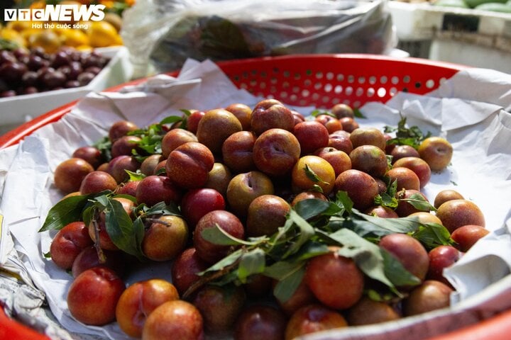 Đắt hơn thịt, mận đầu mùa giá gần 300.000 đồng/kg, khách không tiếc tiền mua - Ảnh 2